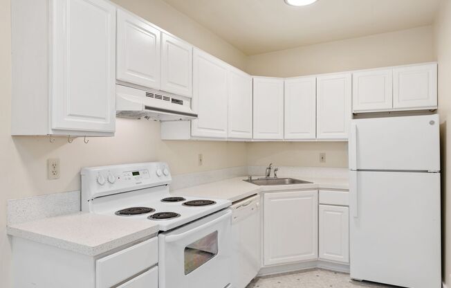 1 bed, 1 bath, 510 sqft, $1,750, Unit 409