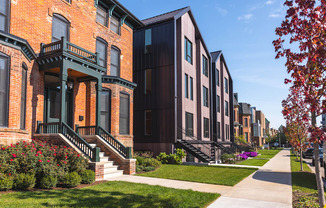 A row of houses with green steps leading to the front door.