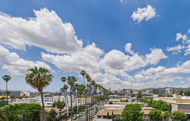 Palm trees line a street in a sunny city.