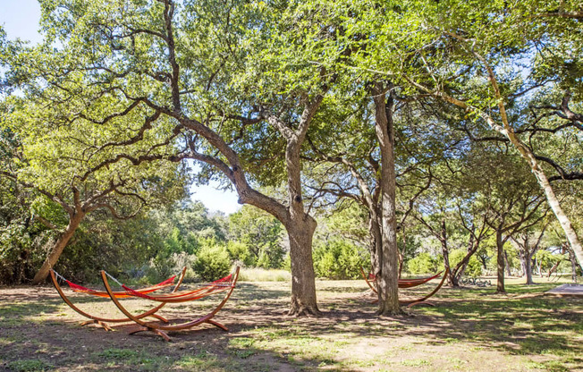 Outdoor green space with hammocks