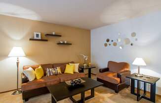 Apartment Living Room in Maryland Heights, MO