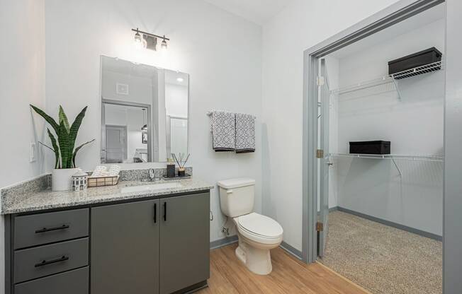 a bathroom with a shower and a sink and a toilet