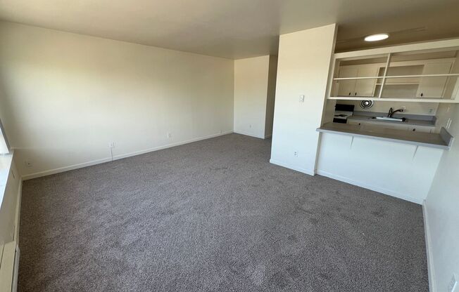 Studio, 1 bath, 300 sqft, $1,445, Unit R-405