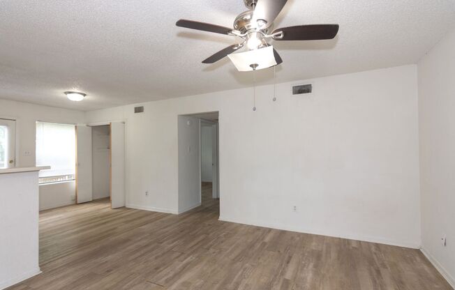 1607 Onion Creek