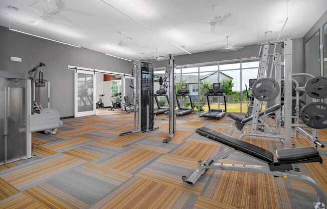 A gym with a variety of equipment including a treadmill, weights, and a bench press.