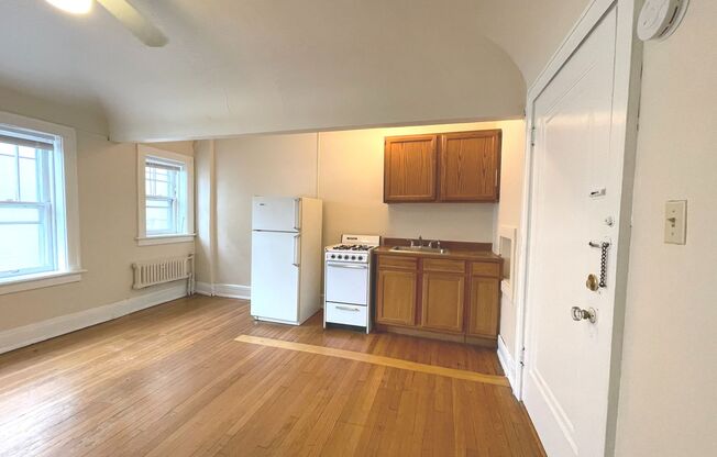 Studio, 1 bath, $775, Unit 203