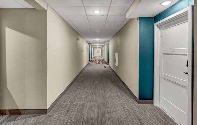 a hallway with white walls and blue and white doors and a rug on the floor