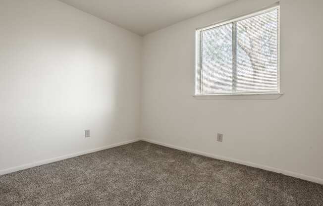 an empty room with carpet and a window