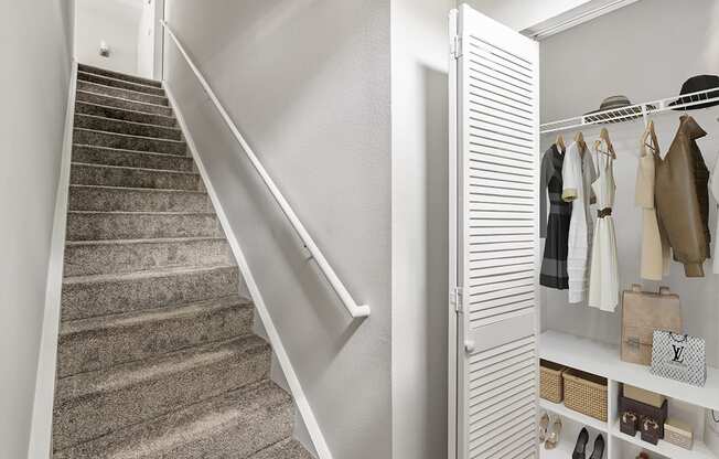 a stairwell in a house with a carpeted stairway and a closet on the side