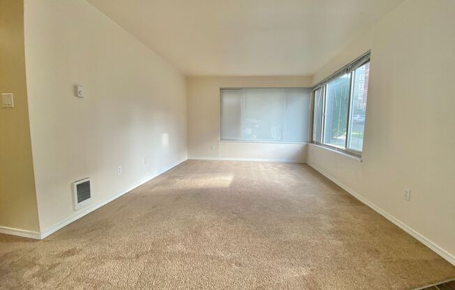 1 bed, 1 bath, 473 sqft, $1,495, Unit 205