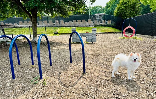 2 beds, 2 baths, 1,000 sqft, $2,525, Unit 1910HY-104