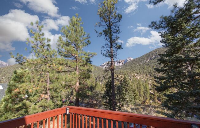MT CHARLESTON HOME WITH FANTASTIC VIEWS