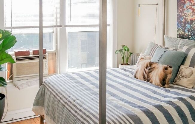 1 bed, 1 bath, 545 sqft, $1,950, Unit 3914-3E