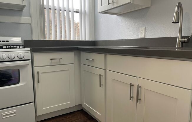 Studio, 1 bath, 350 sqft, $1,235, Unit 202