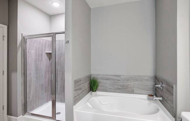 Luxury Apartments in McDonough, GA