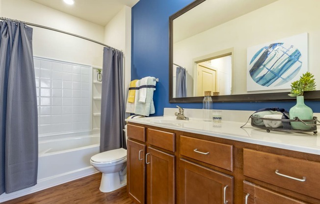 a bathroom with blue and white walls and a white toilet next to a tub with a shower