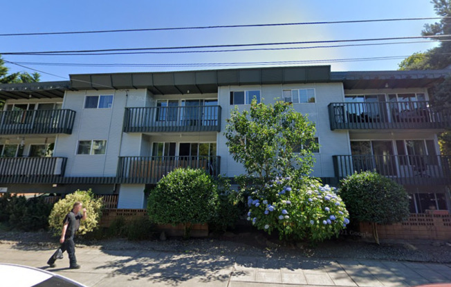 Golden Inca - Newly Renovated 1BR/1BA Apartment w/ Modern Finishes