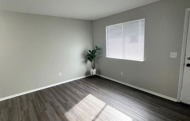 1 bed, 1 bath, 504 sqft, $979, Unit 1061