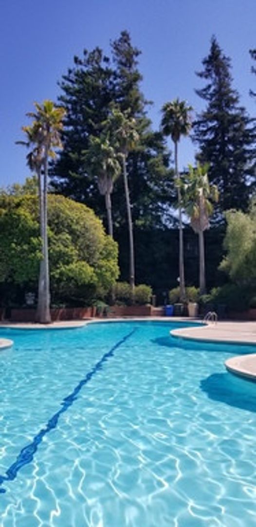 Spacious 1-bed 1-bath condo now available at Shelter Creek