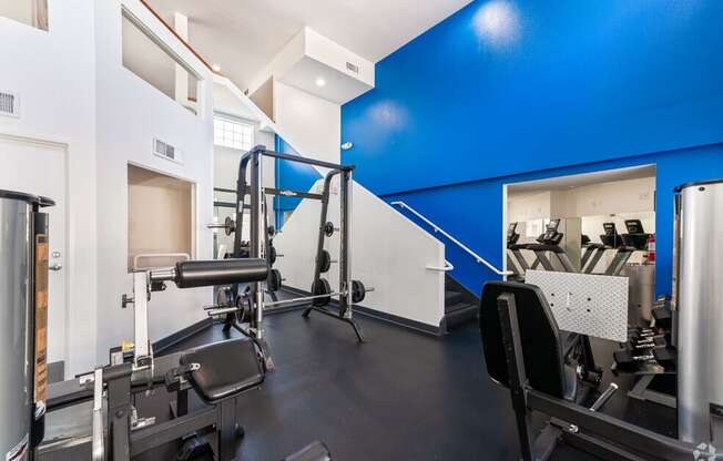 a gym with weights and cardio equipment and a blue wall
