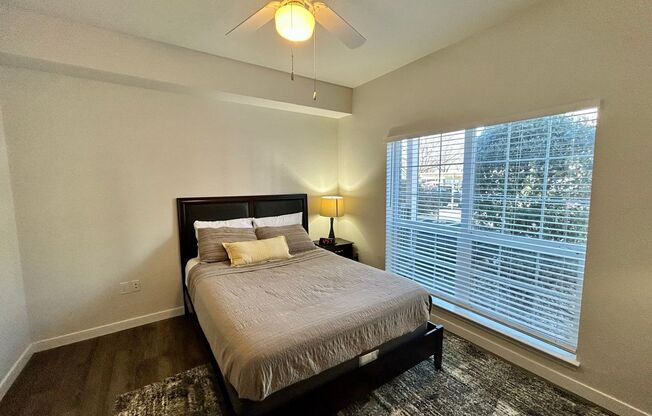 1 bed, 1 bath, 720 sqft, $1,895, Unit 16108