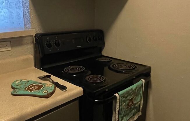 1 bed, 1 bath, 500 sqft, $778, Unit 05M