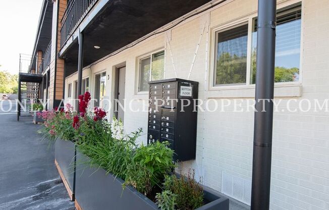 1 bed, 1 bath, 525 sqft, $1,345, Unit 03