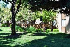 2 beds, 1 bath, 800 sqft, $1,700, Unit 253