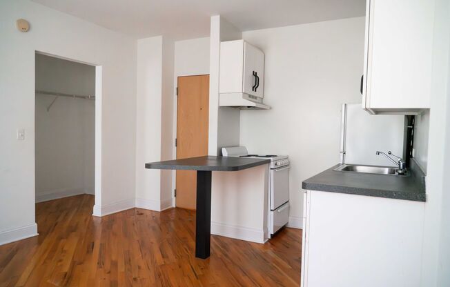 Studio, 1 bath, 255 sqft, $1,100, Unit 840-211