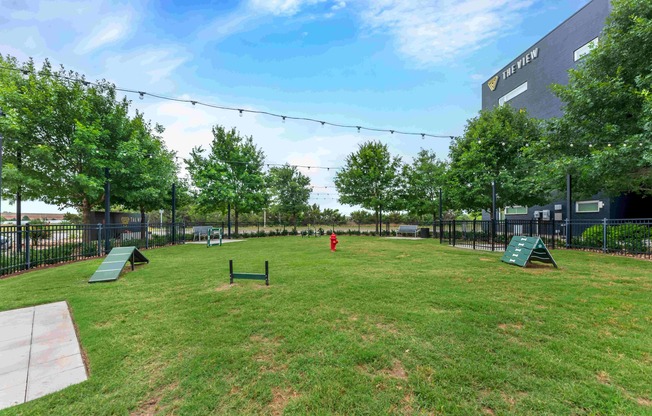 Dog Park
