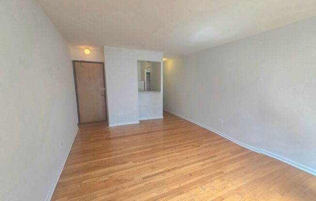 Studio, 1 bath, $1,200, Unit 307