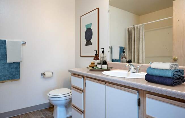 Courtyards at Fairview | Bathroom