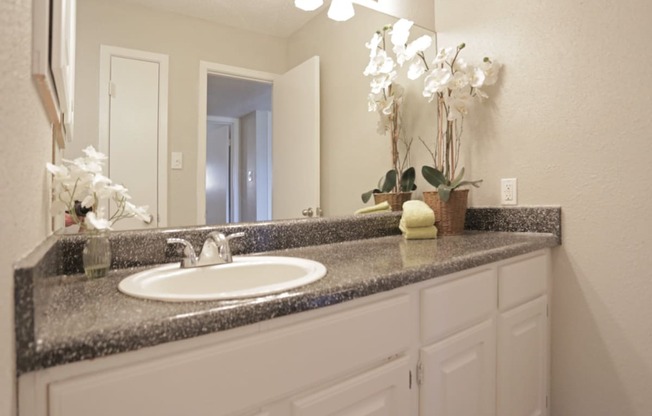 brandon-oaks-bathroom