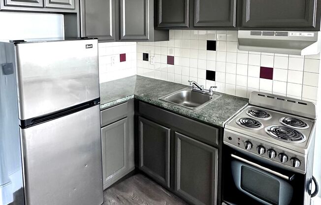 1 bed, 1 bath, 435 sqft, $1,595, Unit 1019