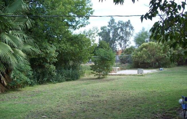 Spacious 3BR Tempe Home with Lush Yard & Irrigation – Available July 1!