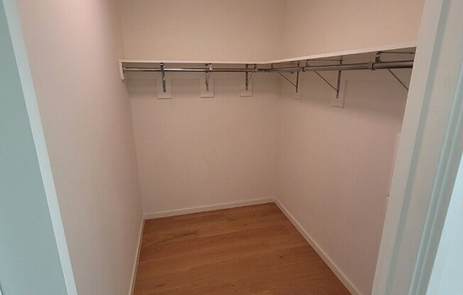 1 bed, 1 bath, 730 sqft, $3,500, Unit 3702