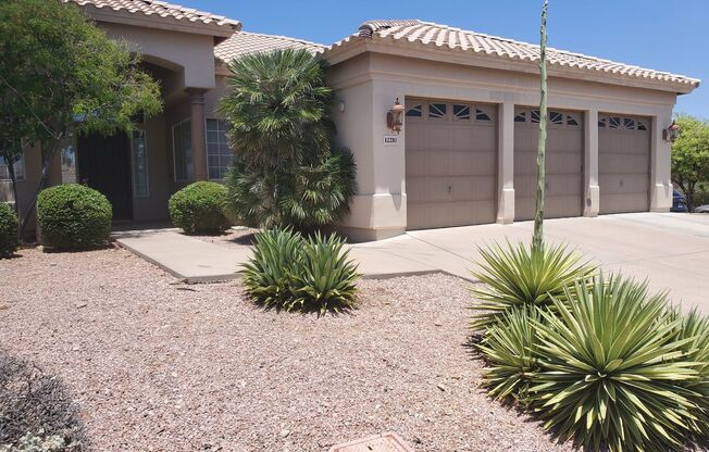 4 bd 2.5 bth north east scottsdale home with pool