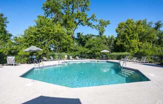 a swimming pool with chairs and umbrellas in front of trees