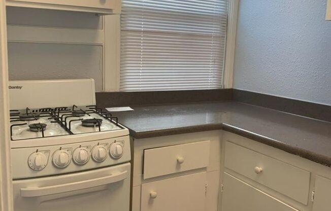 Studio, 1 bath, 300 sqft, $1,290, Unit 203