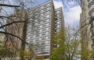 1540 N State Pkwy 8A