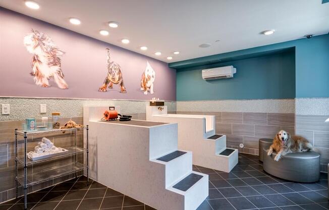 pet friendly dog spa at Berkshire Dilworth, North Carolina