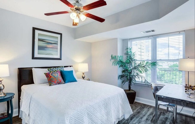 Master Bedroom with Ceiling Fan and Oversized Windows