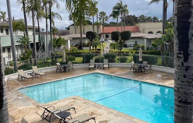The Palms