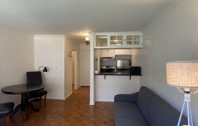 Studio, 1 bath, 368 sqft, $1,950, Unit 239