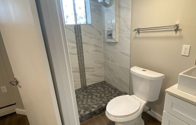 Studio, 1 bath, 275 sqft, $750, Unit A1A