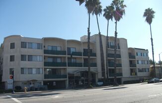 1770 Ximeno Ave. #209