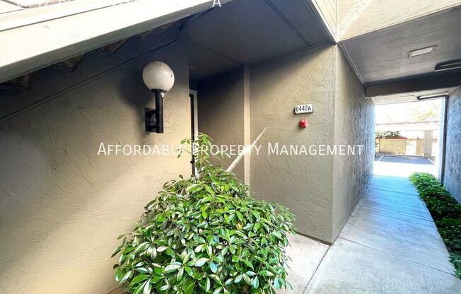 6442 BUENA VISTA DR