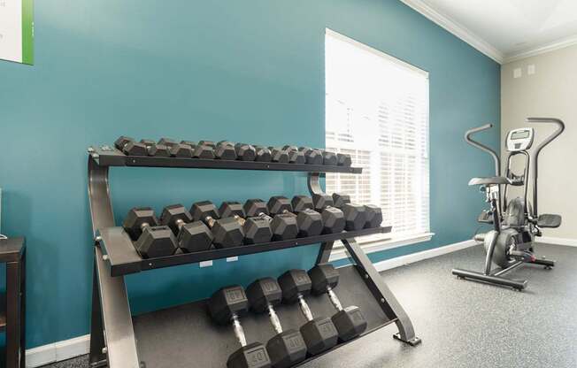 a fitness room with weights and a rack of dumbbells