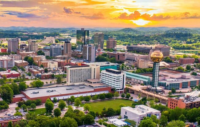 Updated 1BR Condo at Evian Towers | In-Unit Laundry, City Views, Walk to UTK