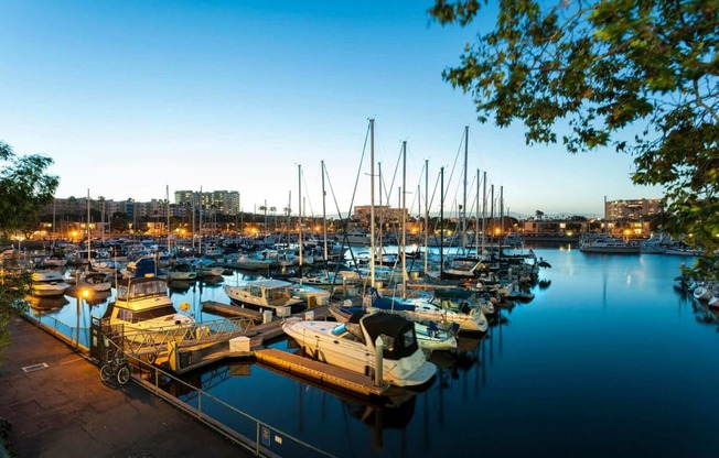 a harbor filled with lots of boats at night